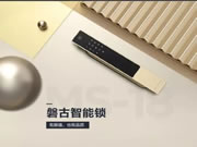 中控智能鎖：提升整體家居氣質