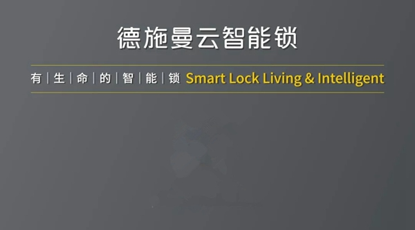 德施曼小嘀云智能鎖雙十二再次登頂，全網銷售第一！