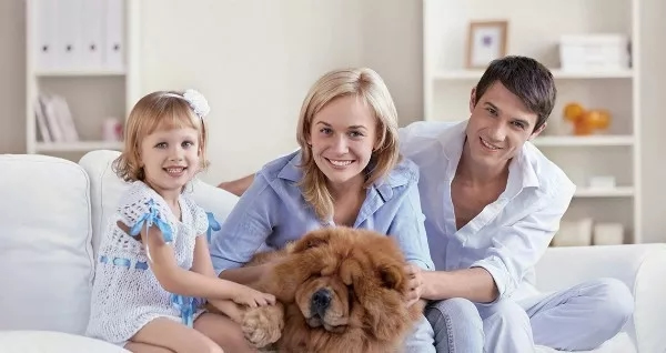 耶魯智能鎖，您的家庭安全小管家