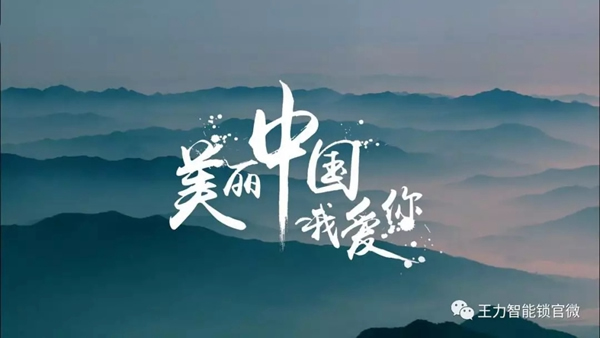 王力智能鎖，集所有才華于一身