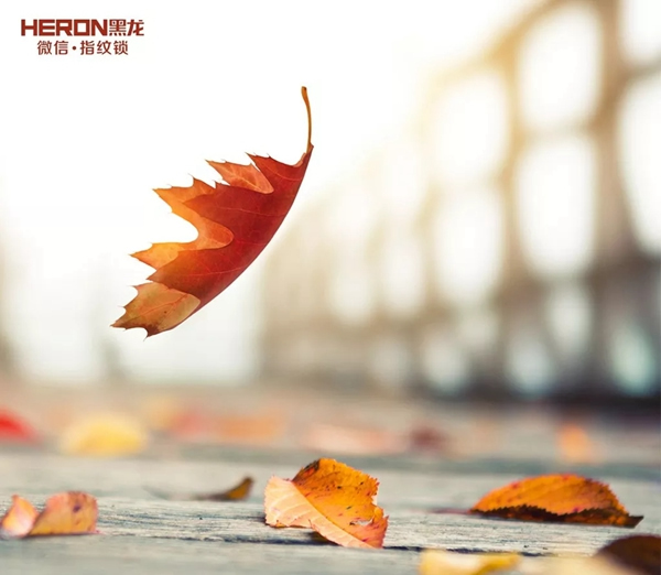 智能鎖經(jīng)銷商大調(diào)查|HERON黑龍智能鎖公司團建，與你相約九八