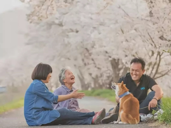 凱迪仕智能鎖為你守護(hù)家的溫馨