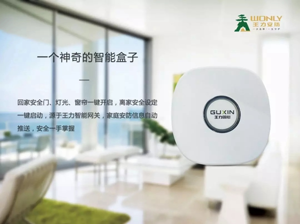 王力安防陪你度過冷冬，準(zhǔn)備好雙十一帶回家了嗎？