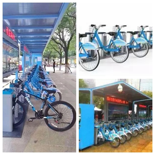 常通物聯：樹工匠心品質，燃產品力之魂