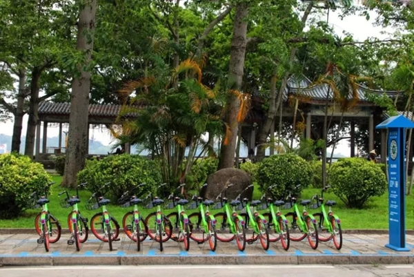 常通物聯：樹工匠心品質，燃產品力之魂