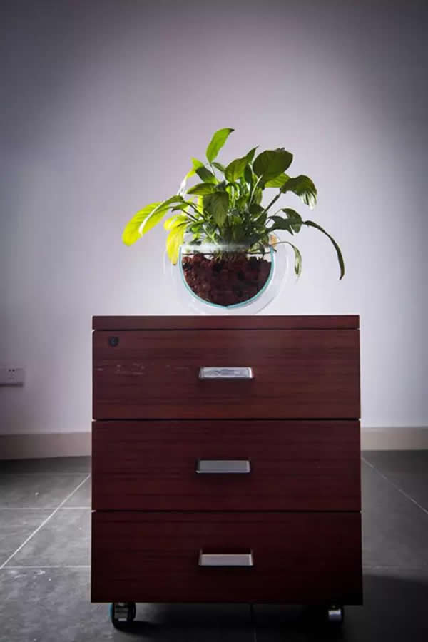 山寨橫行，堅(jiān)持“原創(chuàng)”的雅麗斯有錯(cuò)嗎？