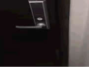 德犬智能鎖：就這樣門輕而易舉就給開了