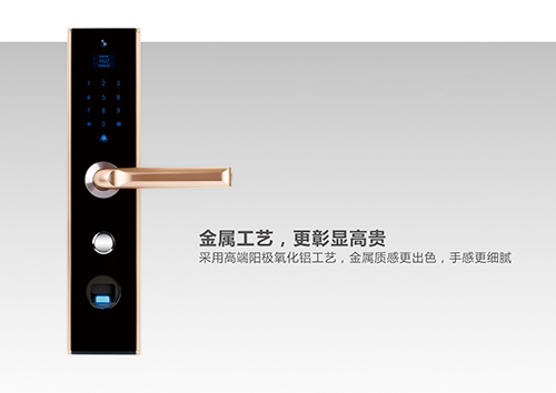 【手機(jī)門鎖】古人防盜靠狗，現(xiàn)在靠“德犬”