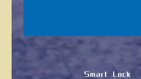 2021牛轉(zhuǎn)乾坤，從一把西勒奇智能鎖開(kāi)始