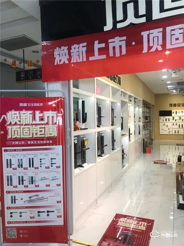 頂固8月精彩薈萃 | 行穩致遠，聚勢共贏！