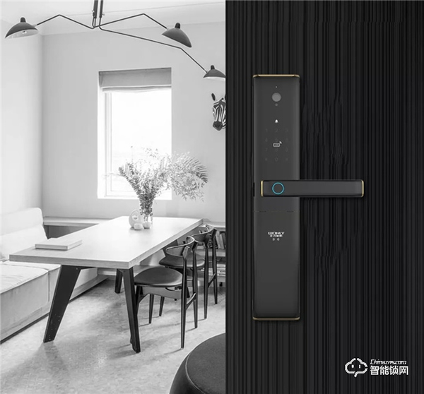 今年年貨買什么？孝順父母就選王力遙感智能鎖