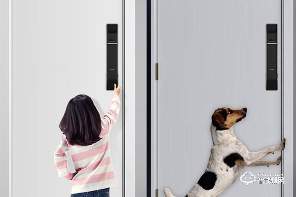 天能智能鎖怎么樣