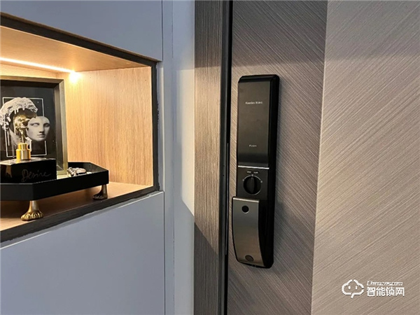 凱迪仕智能鎖擁有專屬“千里眼”，有了它，24h家門安全隨時看得見~