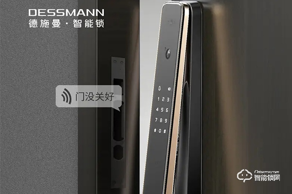 德施曼指紋鎖怎么樣 德施曼指紋鎖怎么樣
