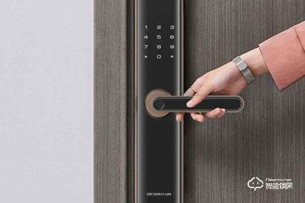 德施曼指紋鎖怎么樣 德施曼指紋鎖怎么樣