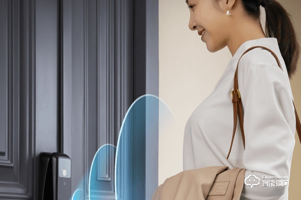 麗水德施曼智能鎖加盟代理