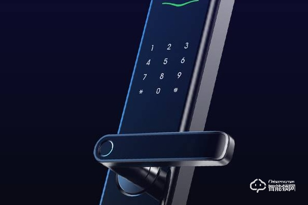 麗水德施曼智能鎖加盟