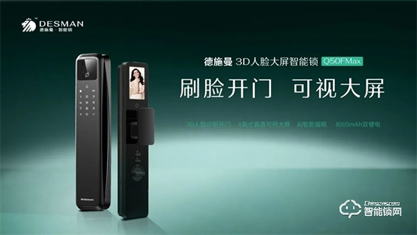 德施曼智能鎖｜智能鎖購買攻略來嘍 ~ 雙十一預(yù)售第一波，課代表搶先劇透！