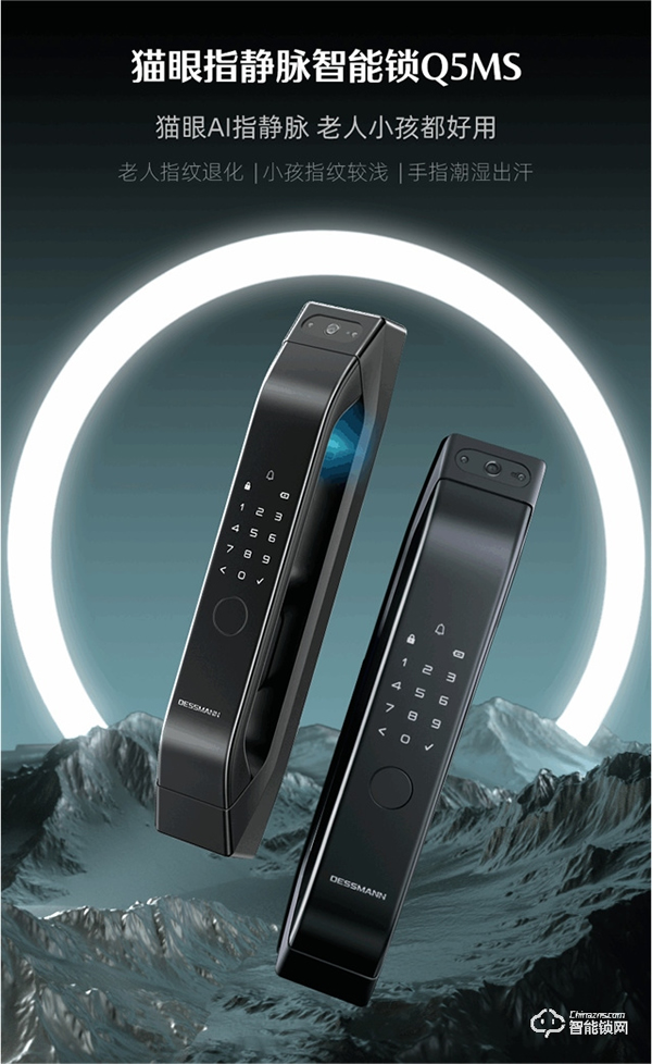 德施曼智能鎖｜智能鎖購買攻略來嘍 ~ 雙十一預(yù)售第一波，課代表搶先劇透！