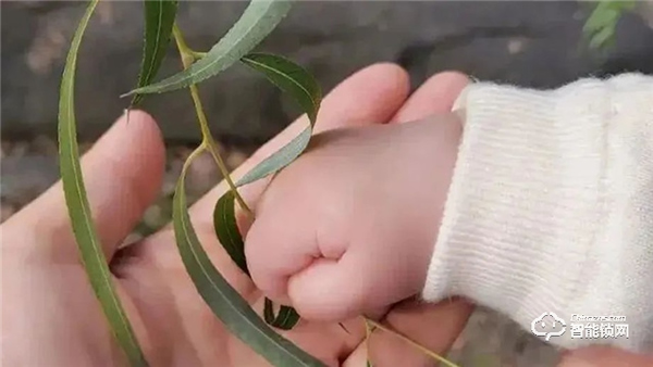 Gleewell格里維爾|你發現了嗎?所有治愈的美好,都藏在生活的細節里 Gleewell格里維爾|你發現了嗎?所有治愈的美好,都藏在生活的細節里