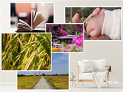 Gleewell格里維爾｜你發(fā)現(xiàn)了嗎？所有治愈的美好，都藏在生活的細(xì)節(jié)里