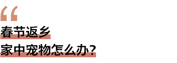 春節返鄉家門安全誰來顧？這題交給飛利浦智能鎖