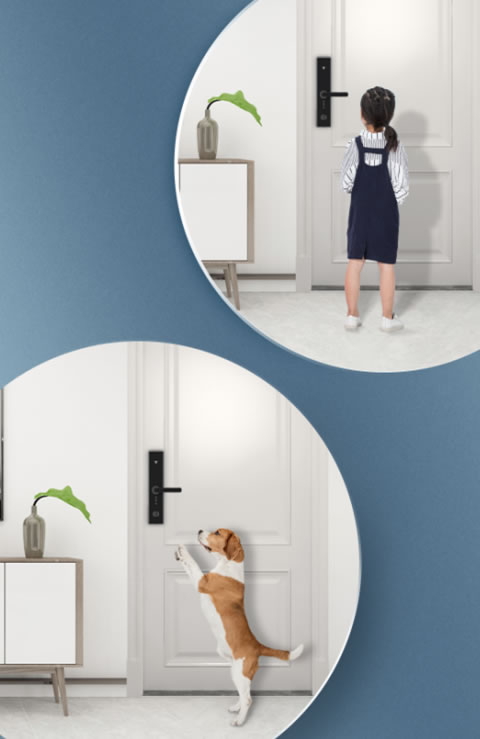 一篇搞定！天能智能鎖使用全攻略