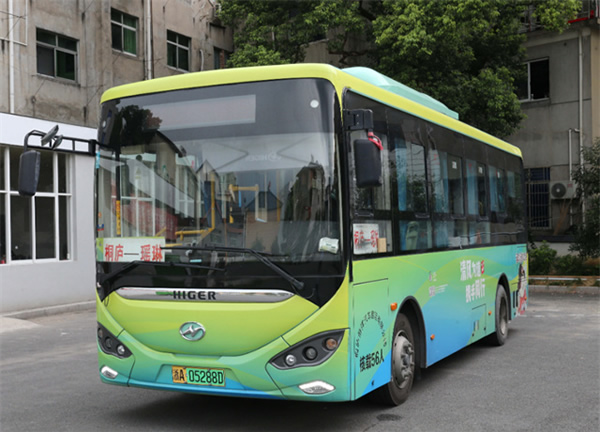 亞運(yùn)會(huì)世界首創(chuàng)“數(shù)控草坪”火出圈，蘇州擁有同款黑科技！