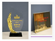 HDL榮譽登榜擬上市最強科創企業TOP10