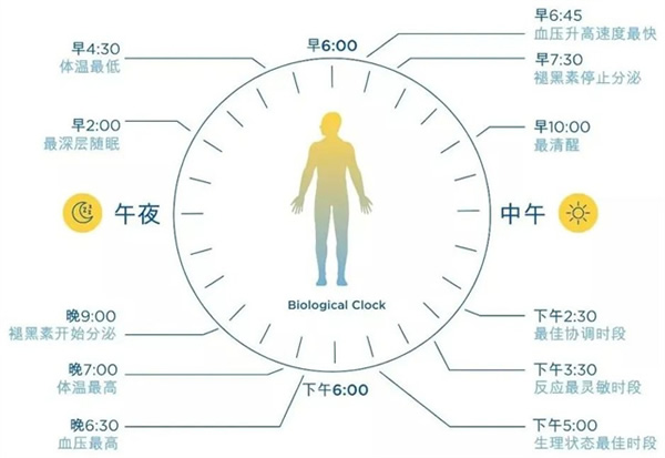 光線與晝夜節(jié)律 | 科學(xué)打造健康生物鐘的照明環(huán)境