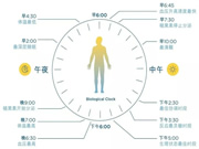 光線與晝夜節(jié)律 | 科學打造健康生物鐘的照明環(huán)境
