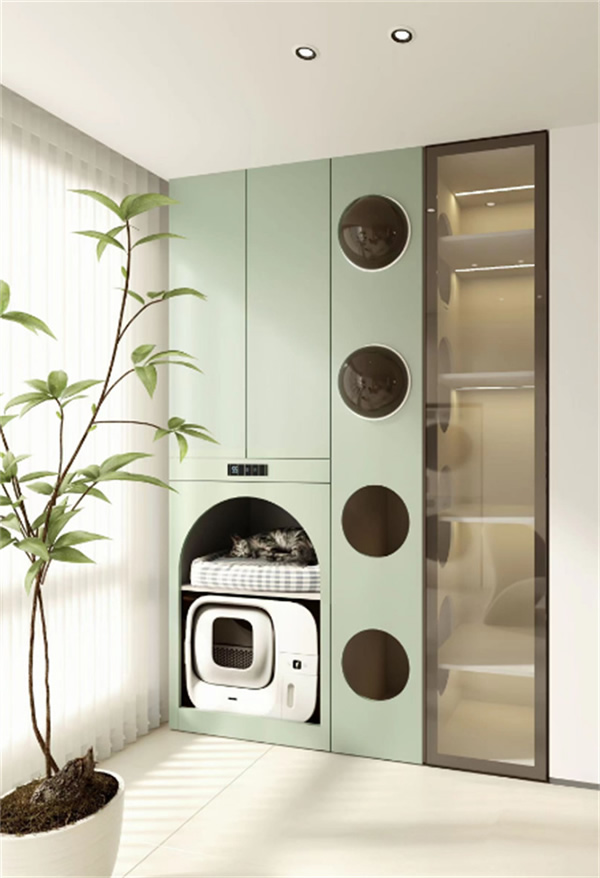 金牌×劉畊宏，解鎖跳操新場景，重新定義居家健康生活