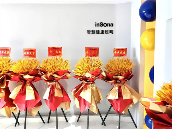 乘風(fēng)破浪 揚(yáng)帆啟航 | inSona重慶駐點(diǎn)正式開業(yè)