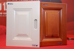 常戎傾情代言川誠木門整裝